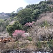 来宮駅からの登り坂