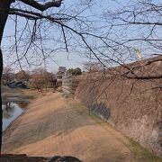 豊かな川の流れです