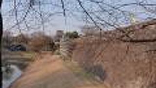 豊かな川の流れです