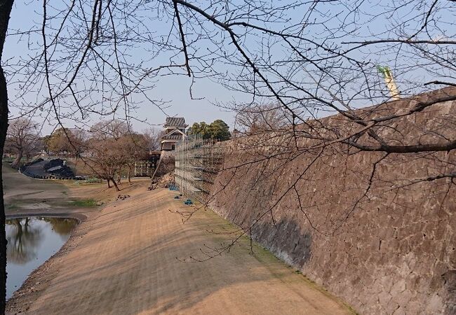 豊かな川の流れです