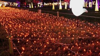 広い敷地を散策がてらショッピング