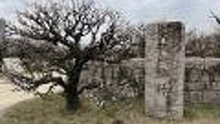 無料で入場できます