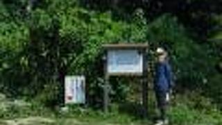 それほど興味を引くような光景ではありません