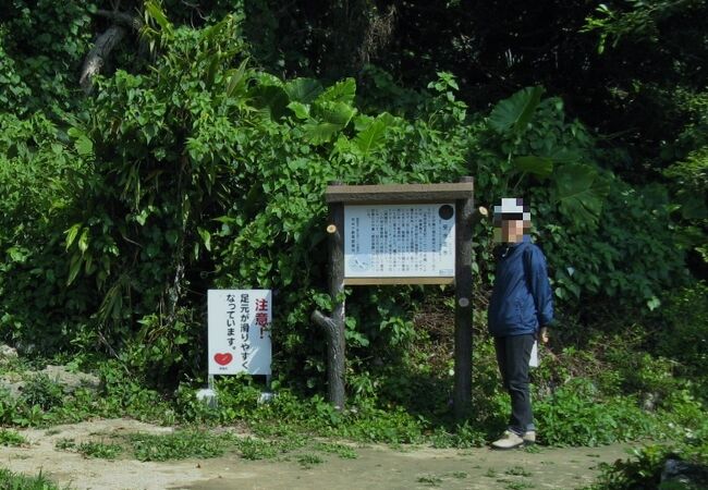 それほど興味を引くような光景ではありません