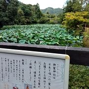 御髪神社のそばにある大きな池です。