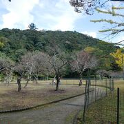 東照宮の手前の公園