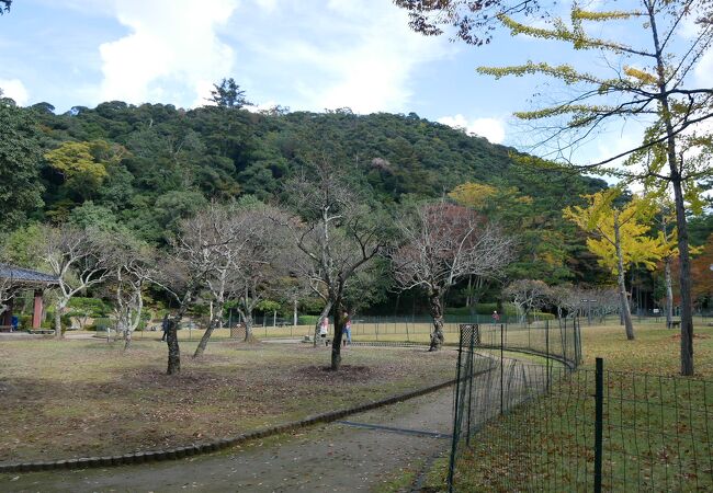 東照宮の手前の公園