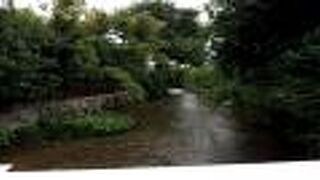 流れている水がとても綺麗でした。