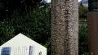 三条大橋の袂にありました。