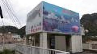 セミクジラの骨格標本が