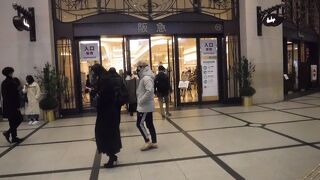 まさにフラッグシップ