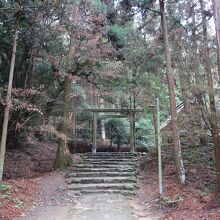 桜井大神宮に続く道・森の中を歩く