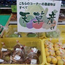 天草産の野菜・果物