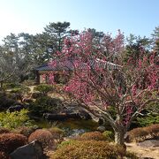 昭和発祥の地の公園（葉山しおさい公園） 