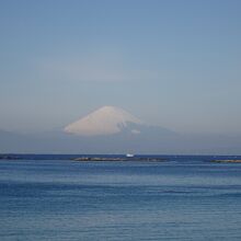 芝生広場から見た富士山