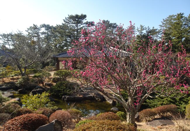 昭和発祥の地の公園（葉山しおさい公園） 