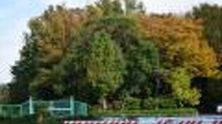 花木とともに展望や散策を楽しめる公園