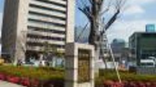 保育園児の遊び場にも