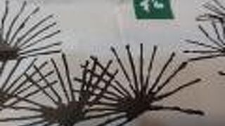 行きたかったです。