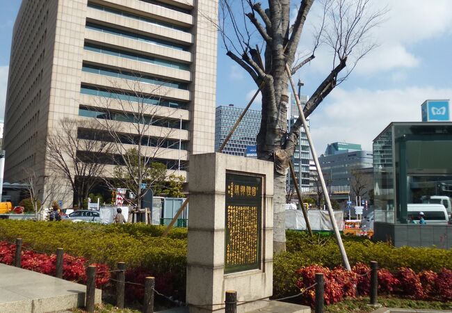 丸の内 大手町 八重洲の花見 クチコミ人気ランキング フォートラベル 東京