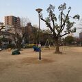 上ケ池公園　