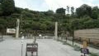 ６月の梅の実もいいけど、２～３月の開花期がベスト