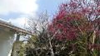 現在は休館中でした