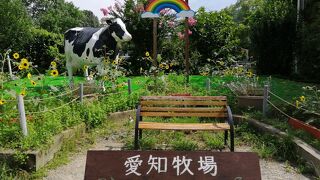 低料金で遊べる