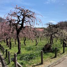 名古屋市農業センター