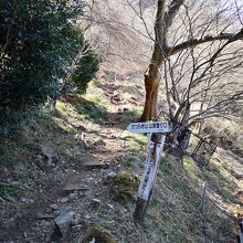 葛城山から発端丈山への下り