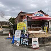  絶品ジェラートと焼きドーナツも美味しいよ