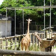 思ったより広ーい動物園