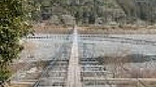 長くて揺れます