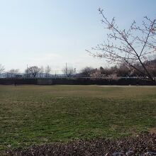 東田原中丸遺跡（埋め戻されて今はグランド）