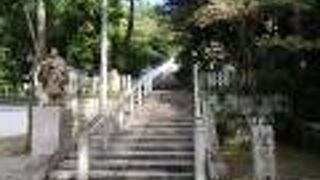 知恩院発祥の聖地へと続く道