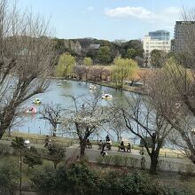 レストランからの眺望