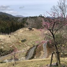 梅の公園