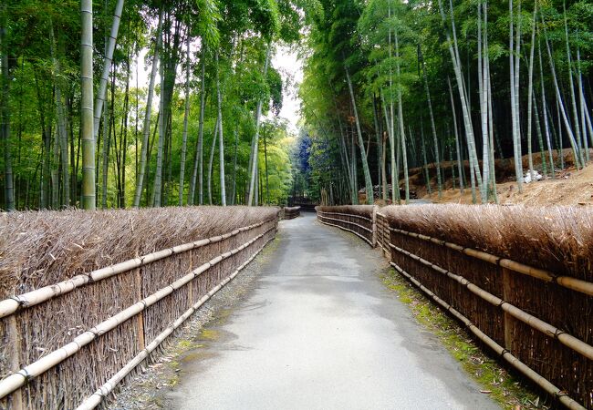 人が少なくゆっくりと出来る