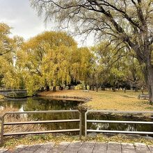 大きな木と池がとてもきれいです。