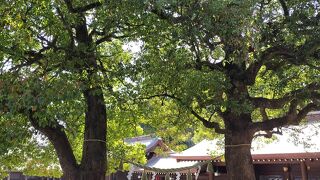 明治天皇を祀ったおみや