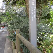 右手が公園