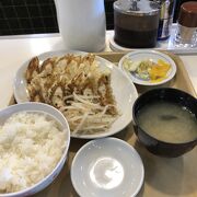 優しい味の餃子