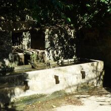 この別世界感を楽しむ！