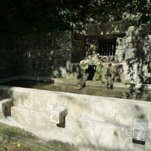 古より脈々と注がれる井泉