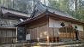 かなり上っていきました