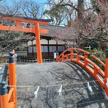 天気がよいと赤が映えます