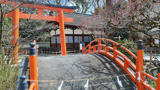 みたらし団子を片手に訪れたい