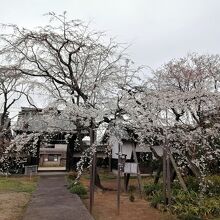 聖善寺