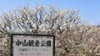 心華やぐ春景色