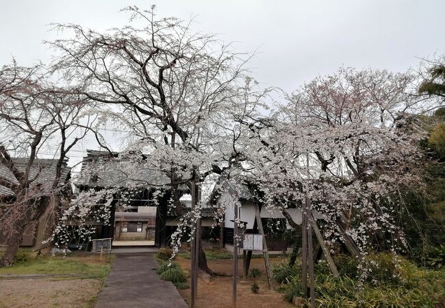 聖善寺